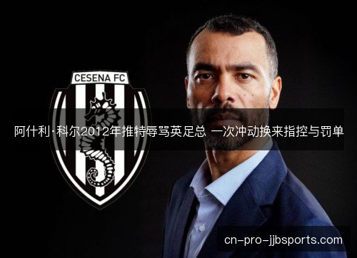 阿什利·科尔2012年推特辱骂英足总 一次冲动换来指控与罚单
